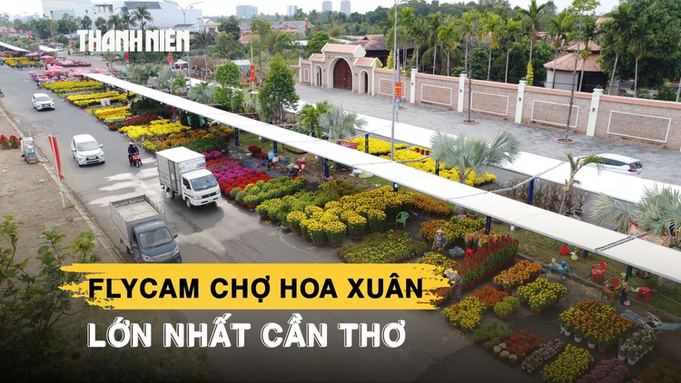 Chợ hoa xuân lớn nhất Cần Thơ có gì đặc biệt khi người bán không tốn tiền thuê sạp?