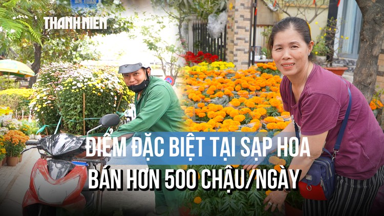 Sạp hoa tết bán hơn 500 chậu/ngày: Nguồn hàng từ đâu, bán thế nào mà được truyền tai 'quá rẻ'?