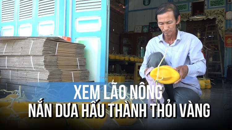 'Nắn' dưa hấu thành thỏi vàng: Cách lão nông nâng tầm trái dưa ngày tết