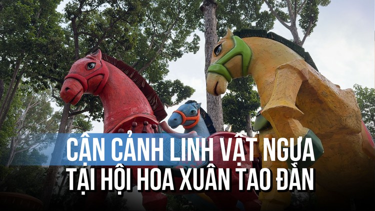 Những hình ảnh đầu tiên tại Hội hoa xuân Tao Đàn