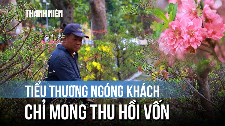 Chợ hoa công viên 23/9 ngày 27 tết: Tiểu thương ngóng khách, mong mỏi một điều...