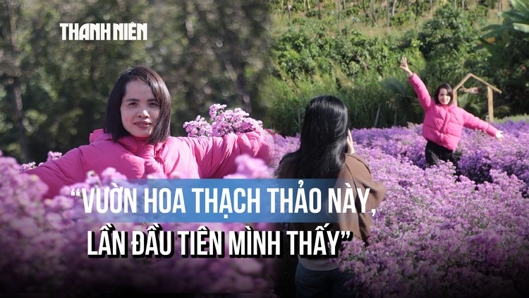 Vườn thạch thảo, cẩm tú cầu nở rộ giữa cao nguyên Đắk Lắk, giới trẻ đổ xô check-in
