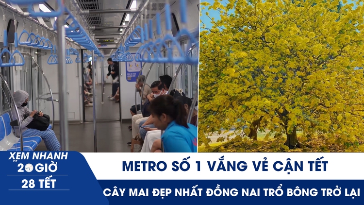 Xem nhanh 20h ngày 28 tết: Metro số 1 vắng vẻ cận tết | Lạ kỳ cây mai ‘cũng biết buồn’ ở Đồng Nai