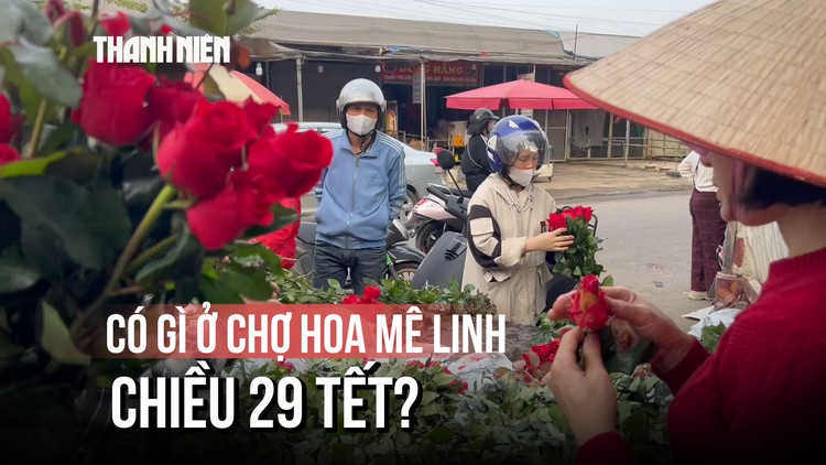 Chợ hoa Mê Linh chiều 29 tết: 100 nghìn mua được 4 chậu hoa