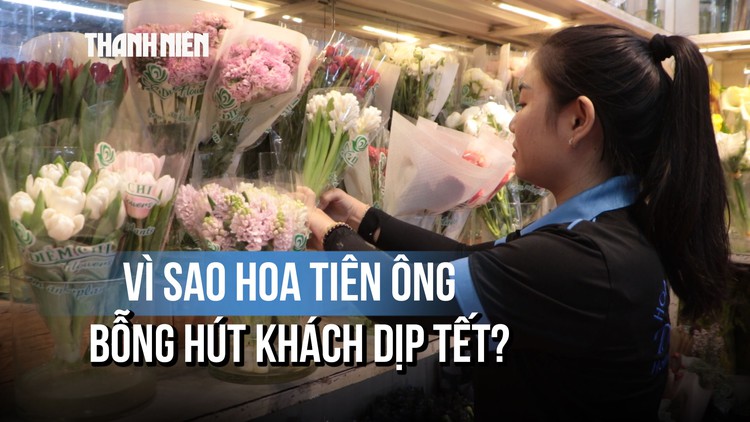 Chợ hoa Hồ Thị Kỷ: Hoa Tiên Ông được khách hỏi mua liên tục dịp Tết
