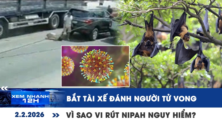 Xem nhanh 12h: Bắt tài xế đánh người tử vong sau va chạm | Vì sao vi rút Nipah nguy hiểm?
