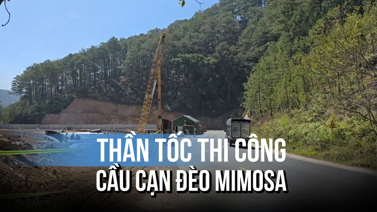 Cầu cạn đèo Mimosa thi công xuyên Tết: Đạt 80% khối lượng, sẵn sàng thông xe kỹ thuật