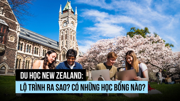 Du học New Zealand: Lộ trình ra sao? Có những học bổng nào?