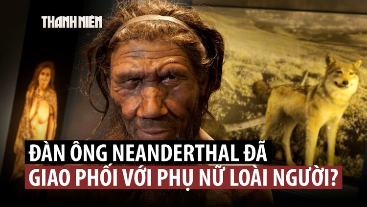 Phát hiện lạ về giao phối giữa Neanderthal và loài người hiện đại