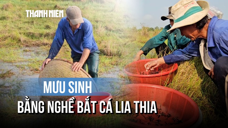 Nghề lạ: Đi vòng tròn đến chóng mặt bắt cá lia thia mưu sinh