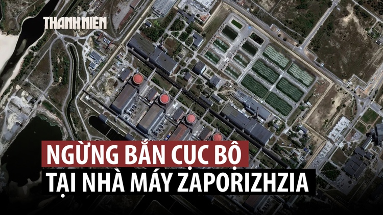 Nga bất ngờ ngừng bắn cục bộ tại Ukraine