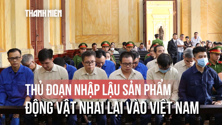 Thông đồng với doanh nghiệp nhận hối lộ, lãnh đạo Chi cục Thú y vùng 6 hầu tòa