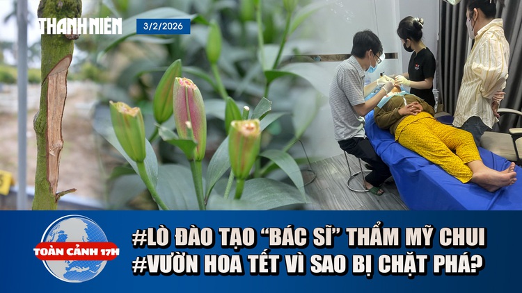 Toàn cảnh 17h: Bên trong lò đào tạo 'bác sĩ' thẩm mỹ siêu tốc | Điêu đứng vườn hoa tết bị phá hoại