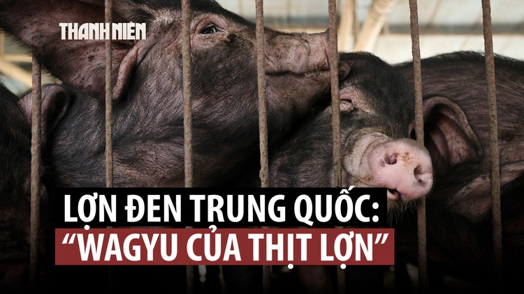 Bất ngờ loại 'Wagyu thịt lợn' lên ngôi tết này ở Trung Quốc