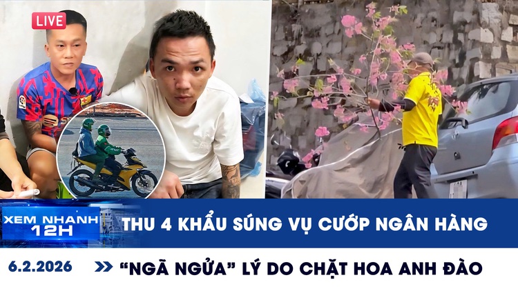 Xem nhanh 12h: Thu 4 khẩu súng vụ cướp ngân hàng ở Gia Lai | 'Ngã ngửa' lý do chặt hoa anh đào