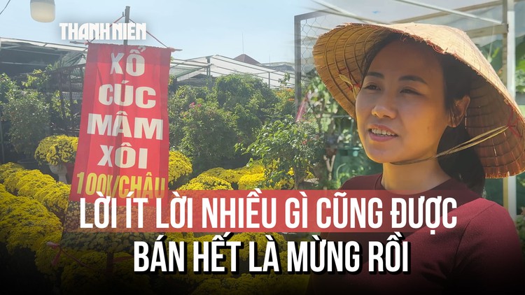 Hoa Tết Bính Ngọ 2026: Nỗi lo kép từ nhà vườn và tiểu thương