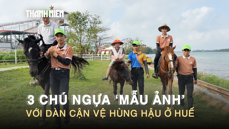 Chuyện 3 chú ngựa ‘mẫu ảnh’ ăn uống sang chảnh với dàn cận vệ hùng hậu ở Huế