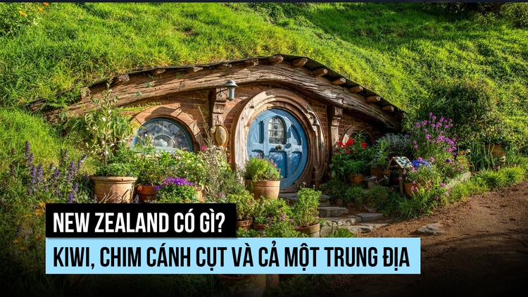 New Zealand có gì? Kiwi, chim cánh cụt và cả một Trung Địa
