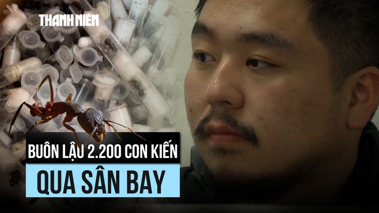 Người giấu 2.200 con kiến sống trong hành lý bị bắt ở Kenya