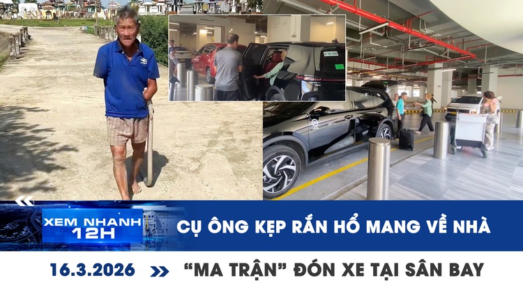 Xem nhanh 12h: Bị rắn cắn kẹp luôn rắn về nhà | Tiếp diễn 'ma trận' đón xe tại sân bay TSN