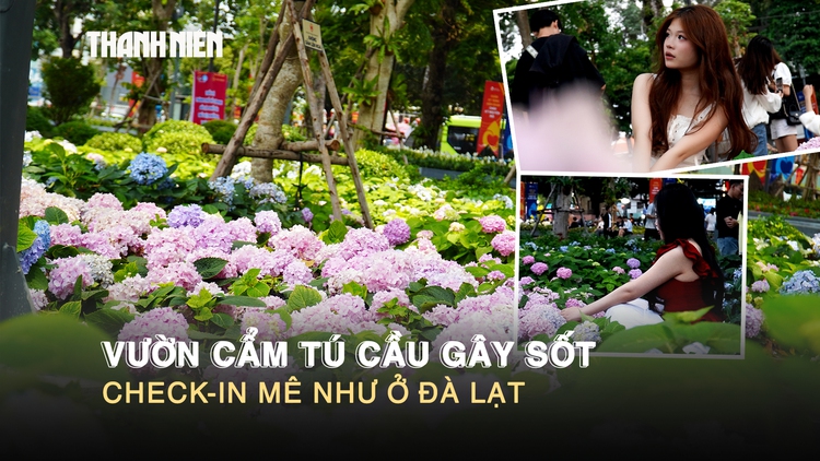 Vườn cẩm tú cầu gây sốt ở trung tâm TP.HCM, check-in mê như ở Đà Lạt