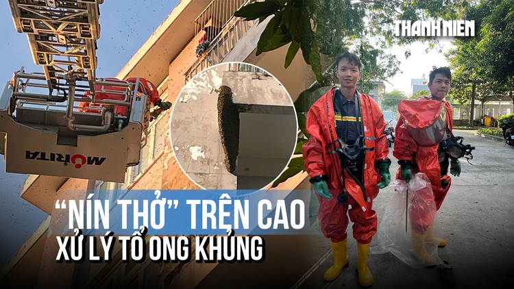 Nín thở trên cao xử lý tổ ong 'khủng' trong khu dân cư ở TP.HCM
