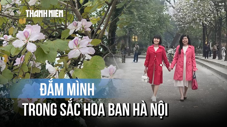 'Nàng thơ' xúng xính chụp hình cùng hoa ban Hà Nội