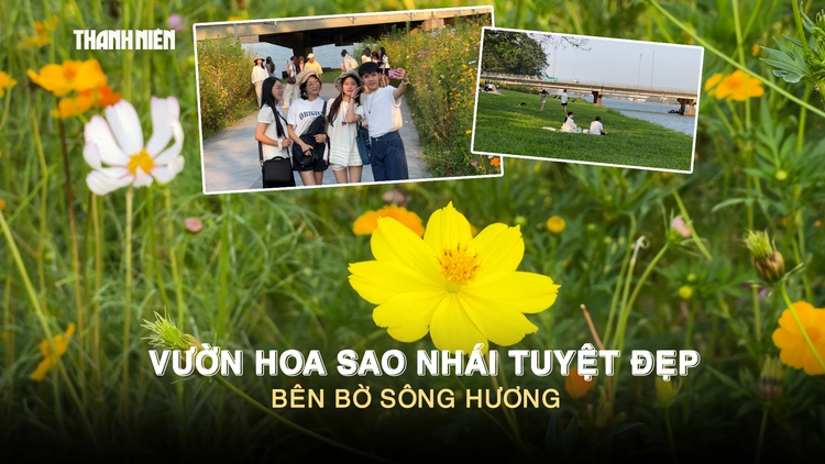 Vườn hoa sao nhái tuyệt đẹp bên bờ sông Hương: Giới trẻ nô nức check-in 