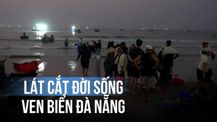 Chợ tan khi mặt trời lên: Một lát cắt đời sống ven biển Đà Nẵng