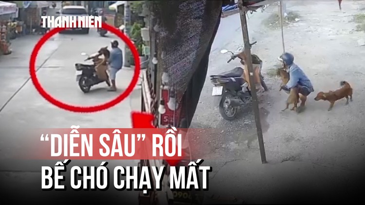 Lật tẩy chiêu thức mới của trộm: 'Diễn sâu' rồi bế chó chạy mất