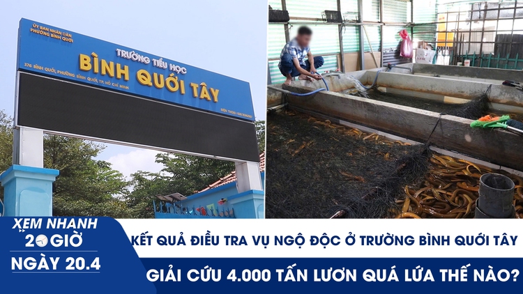 Xem nhanh 20h ngày 20.4: Kết quả điều tra vụ ngộ độc ở Trường Bình Quới Tây | Giải cứu 4.000 tấn lươn quá lứa thế nào?