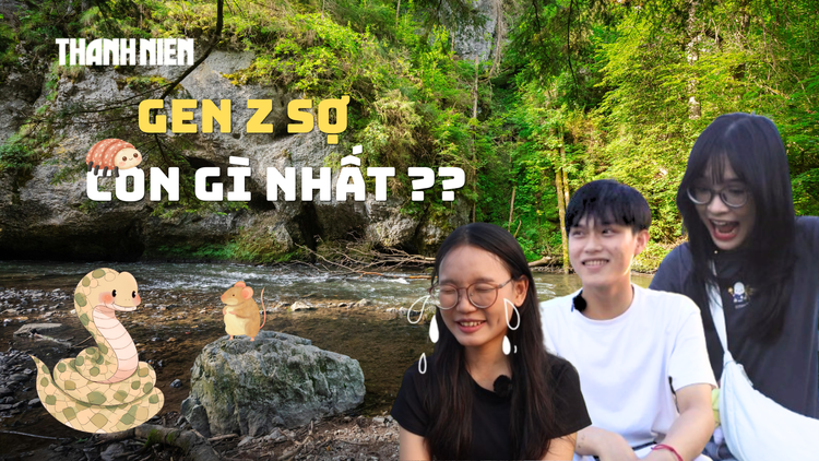 Gen Z sợ nhất con gì?