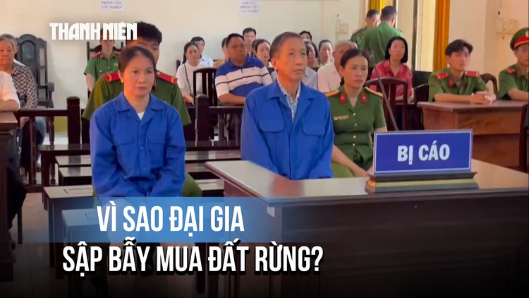 Các đại gia sập bẫy lừa mua đất rừng của cựu Trưởng công an Phú Quốc như thế nào?