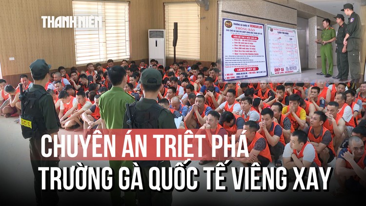Thành Hóa: Đột kích 'trường gà' xuyên quốc gia