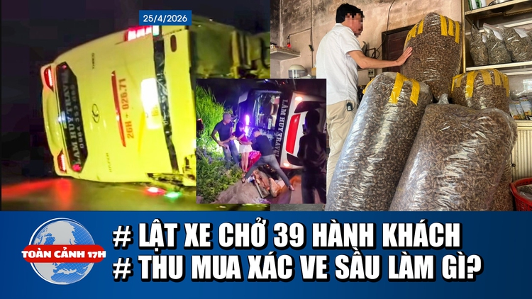 Toàn cảnh 17h: Lật xe chở 39 hành khách ở Lào Cai | Bất thường thu mua xác ve sầu giá cao