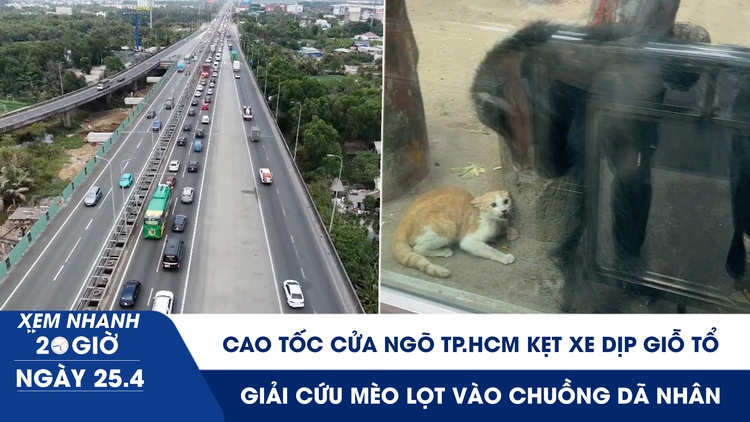 Xem nhanh 20h ngày 25.4: Cao tốc cửa ngõ TP.HCM kẹt xe dịp Giỗ tổ | Giải cứu mèo lọt vào chuồng dã nhân