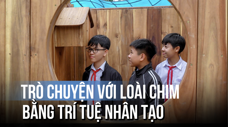 Thú vị 'trạm nghe chim kể chuyện': Trò chuyện với loài chim bằng AI