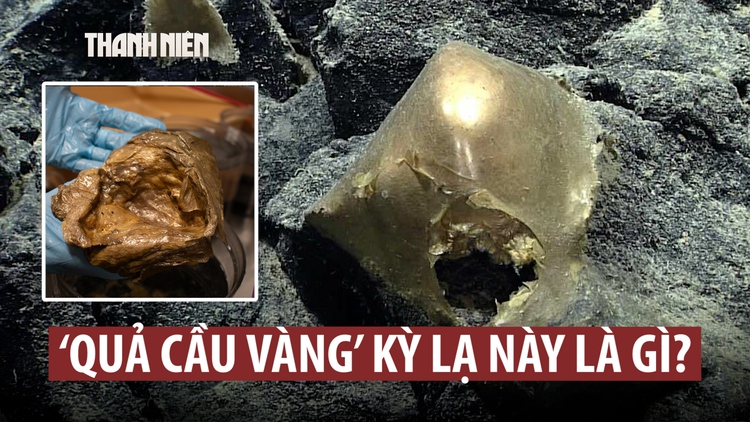 Hé mở bí ẩn ‘trứng vàng’ dưới đáy đại dương
