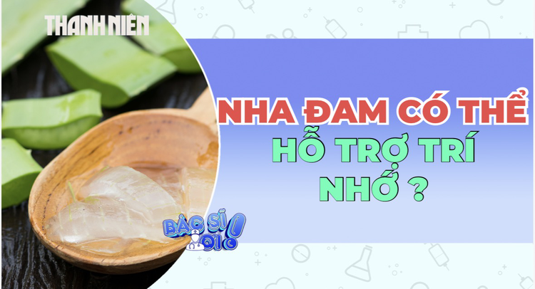 Nha đam có thể giúp phục hồi trí nhớ?