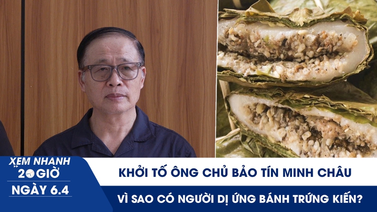 Xem nhanh 20h ngày 6.4: Khởi tố ông chủ Bảo Tín Minh Châu | Vì sao có người dị ứng bánh trứng kiến?