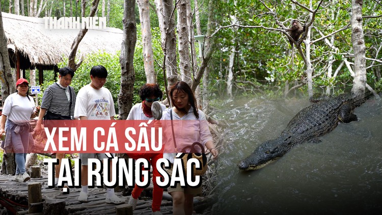 Bất ngờ với khu rừng nguyên sơ ngay tại TP.HCM