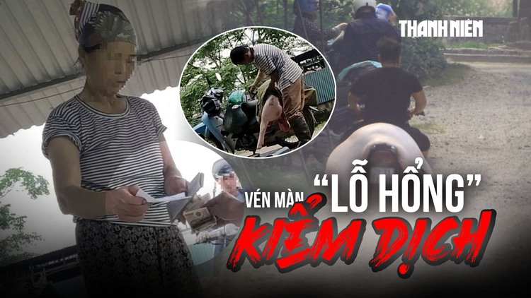 Vén màn 'lỗ hổng' kiểm dịch: Cán bộ thú y bỏ chốt, thương lái tự đóng dấu