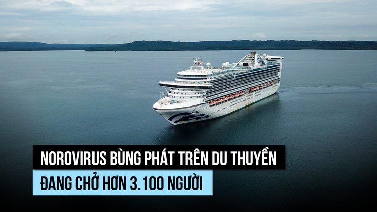 Du thuyền bùng dịch norovirus, hơn 100 người nhiễm