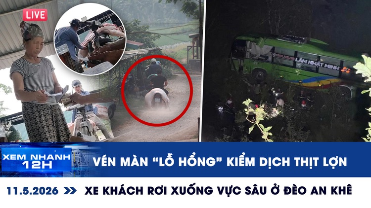Xem nhanh 12h: Vén màn 'lỗ hổng' kiểm dịch thịt lợn | Xe khách rơi xuống vực sâu ở đèo An Khê