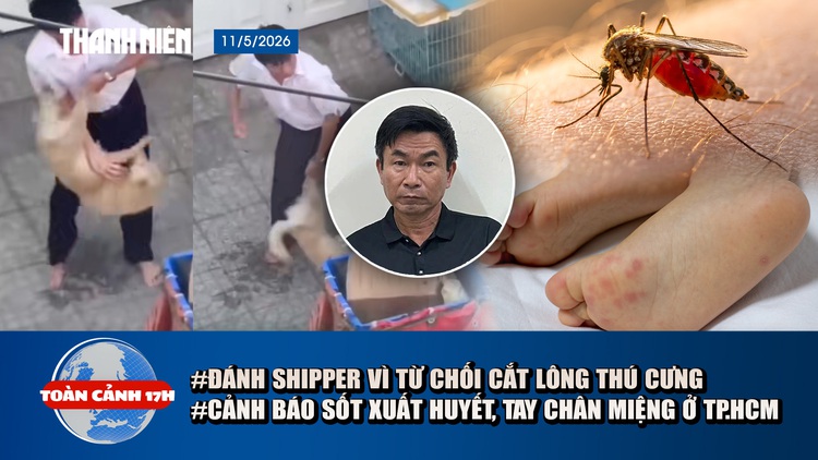 Toàn cảnh 17h: Điều tra vụ 'ôm chó đánh shipper' | Cảnh báo sốt xuất huyết ở TP.HCM