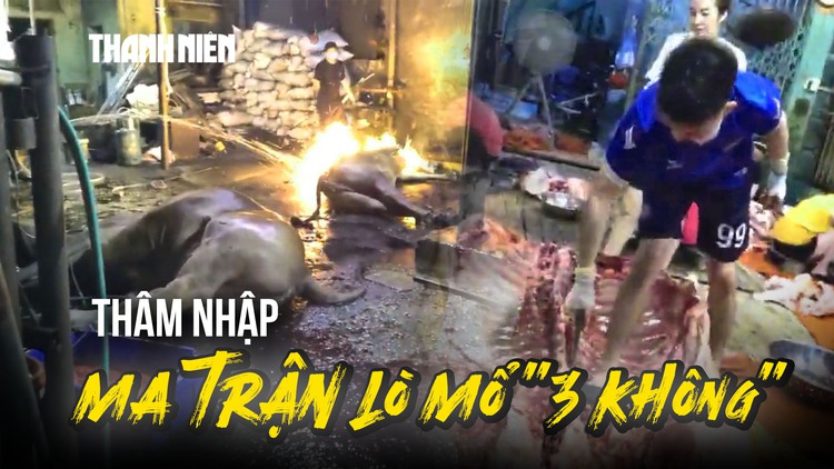 Thâm nhập những lò mổ '3 không': Sốc với cảnh 'hóa kiếp' trâu bò trên nền đất 