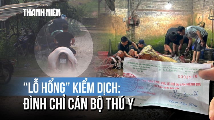 Xử lý vụ 'lỗ hổng kiểm dịch': Hà Nội, Phú Thọ chỉ đạo nóng, tạm đình chỉ cán bộ thú y