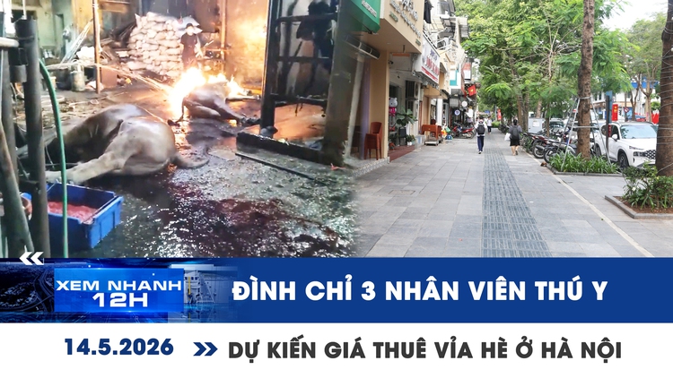 Xem nhanh 12h: Hà Nội đình chỉ 3 nhân viên thú y | Dự kiến giá thuê vỉa hè 45.000 đồng/m2/tháng