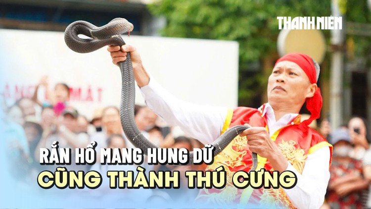 Múa rắn giữa sân đình, nghệ nhân 50 năm chưa từng bị cắn