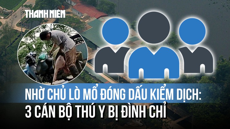 Nhờ chủ lò mổ đóng dấu kiểm dịch thịt lợn: 3 cán bộ thú y bị đình chỉ